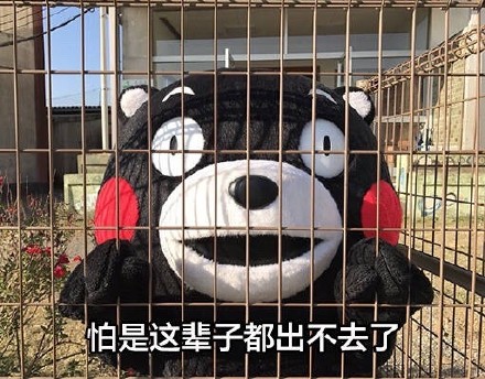 等我出去，我要把你们...熊本熊表情包合集