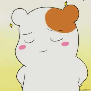 《仓鼠管家》惠比知由 GIF动图合集