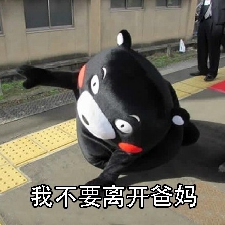 年后瘫在家不想返工？这套熊本熊表情包戳中你了