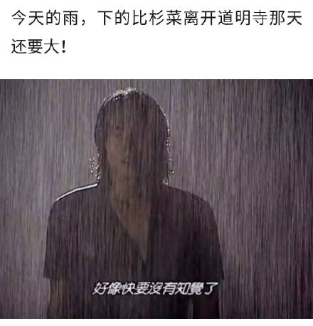 今天的雨超大！这套影视梗表情包火了