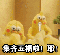 鹦鹉兄弟：今年集五福，你集齐敬业福了吗？