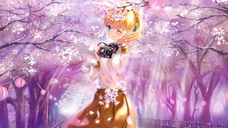 这份壁纸合集太绝了！多宝与多田君不恋爱的樱花主题壁纸全安排上