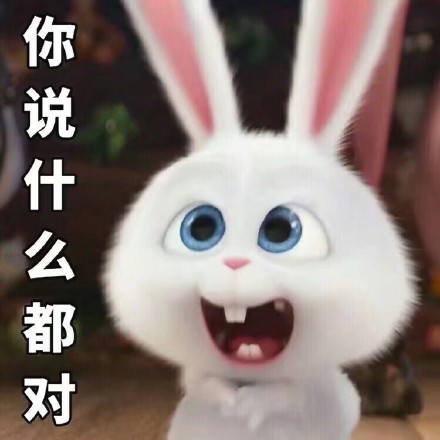 《爱宠大机密》小白兔表情包来啦，聊天斗图用得上