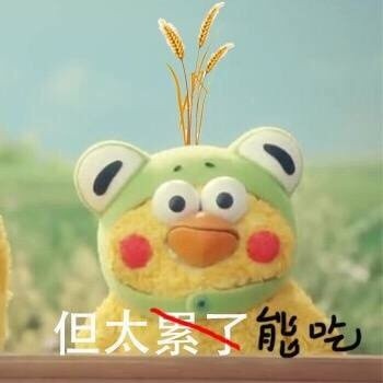 求求你带我回家！这套鹦鹉兄弟表情包太戳人了