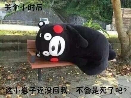 暗恋对象不回消息？这套熊本熊表情包太懂你了