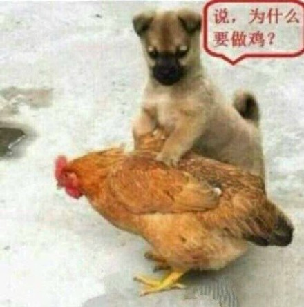 「信不信我拿小拳拳捶你」表情包合集来啦