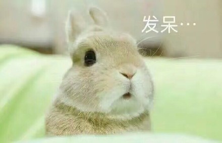 聊天斗图不用愁！这份热门表情合辑请收好