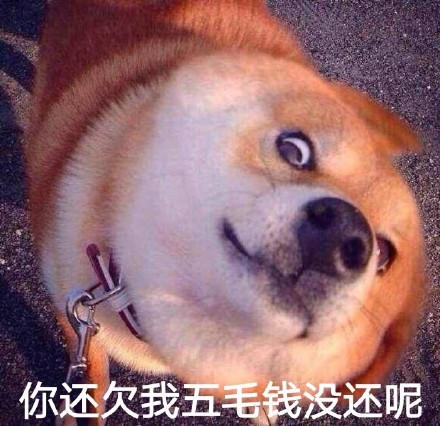 聊天怼人神器！瞪眼Doge表情包合集
