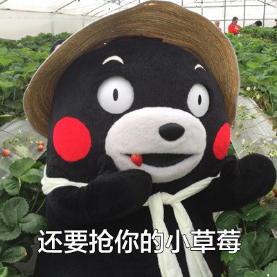 熊本熊版“皮一下很开心”表情包合集