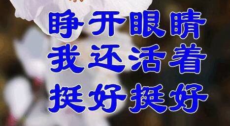 这套佛系九连表情包，把躺平心态直接焊在脸上