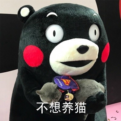 这套熊本熊“你想艾特谁”表情包，快看看能@谁