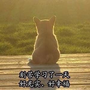爱学习的Doge表情包合集