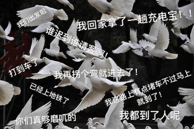 打工人/学生党必存！这套鸽子表情包完美还原你和朋友的日常