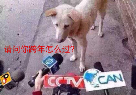 跨年夜斗图不用愁！这份专属表情包请收好