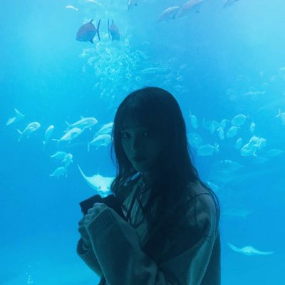 34张高清浅蓝色女生头像 温柔氛围感拉满