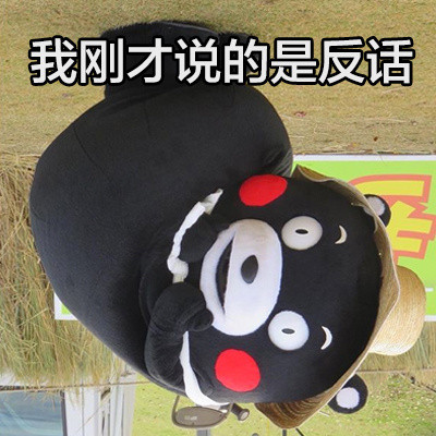 熊本熊翻脸表情包来啦！