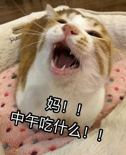 原来大家都在用这些喊妈的表情包！