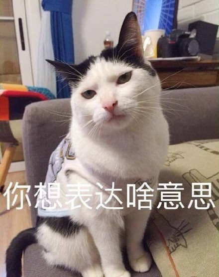 猫咪萌萌表情包合集来啦