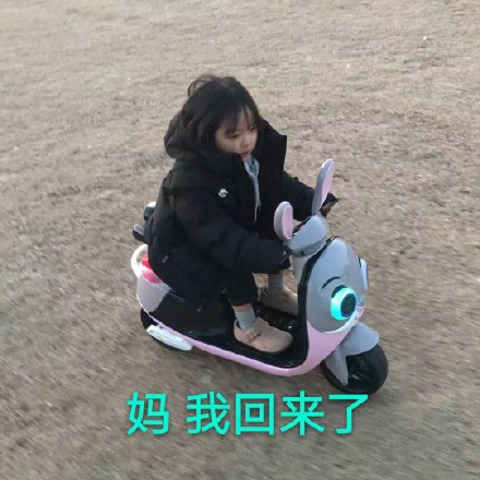 权律二版母亲节哄妈表情包，手把手教你拍妈妈马屁