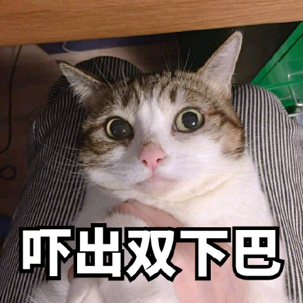 超实用喵星人表情包合集来啦