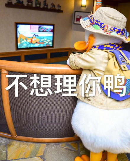 唐老鸭表情包第三弹来啦！