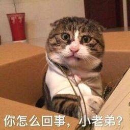 “你怎么回事，老弟？”这套表情包火了