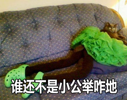 大长腿性感小野猫表情包来啦 聊天斗图直接用