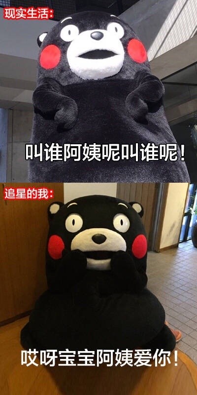 追星前后的我反差有多大？这套熊本熊表情包太真实了