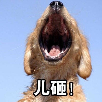 快把这套表情发给你家“儿砸”