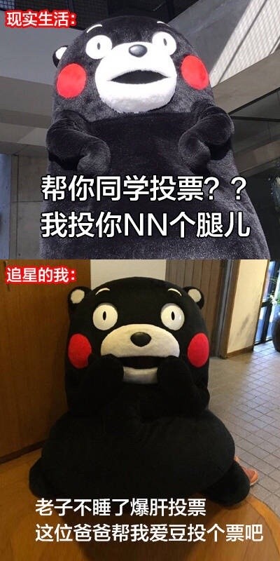追星前后的我反差有多大？这套熊本熊表情包太真实了