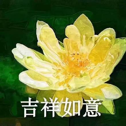 佛系荷花表情包来啦！日常斗图用这个超合适