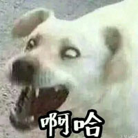 情侣互动感拉满！这套“娘子 啊哈”表情包太适合拌嘴秀恩爱了