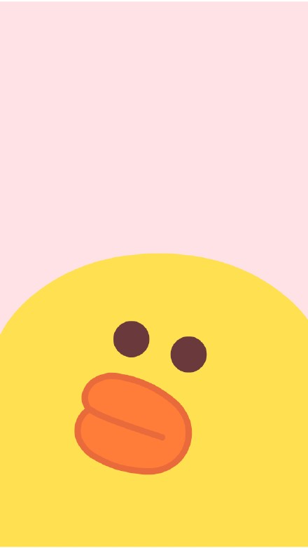 LINE FRIENDS布朗熊可妮兔莎莉鸡壁纸合集来啦