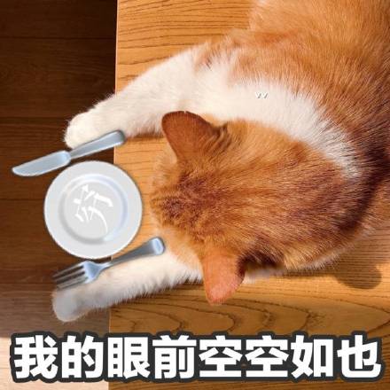 救命！这套猫咪表情包也太治愈了，快拿去吸猫
