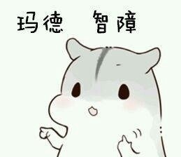 软萌仓鼠撒娇表情包合集