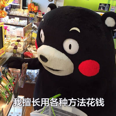 刷到就赚了！这套“可以说是非常擅长了”熊本熊表情包太戳人