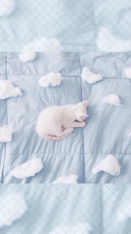 给手机换张新壁纸！这里有一波精选好看的手机壁纸合集