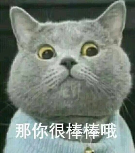 汪星人喵星人可爱表情包合集