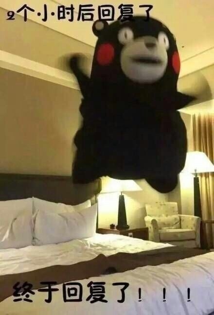 暗恋对象不回消息？这套熊本熊表情包太懂你了