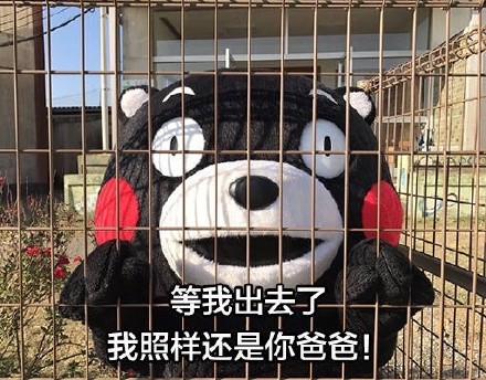 等我出去，我要把你们...熊本熊表情包合集