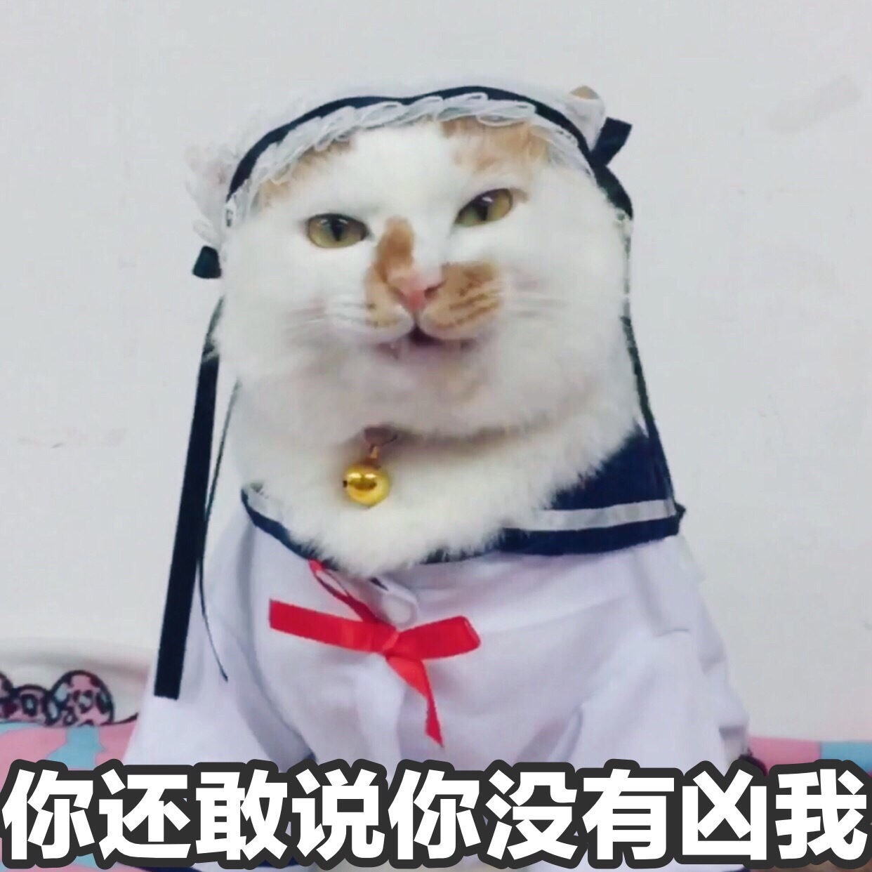 自带反差感！这组花脸猫咪表情包太适合斗图了