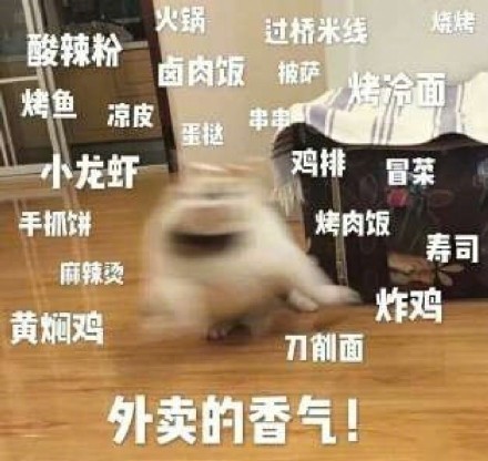 我不管 我就要点外卖