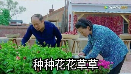 周五啦！还没想好周末怎么过？这套表情包给你参考答案