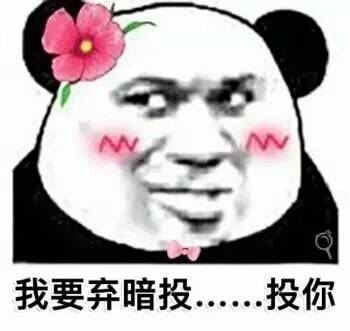 脸红班熊猫头土味情话表情包来啦