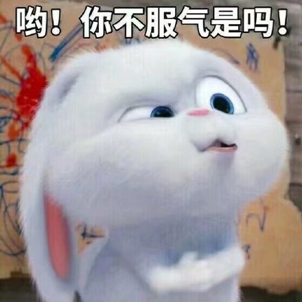 《爱宠大机密》小白兔表情包来啦，聊天斗图用得上