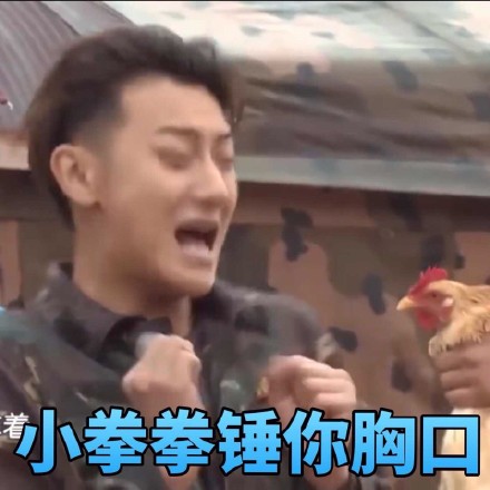 黄子韬同款表情包合集来了