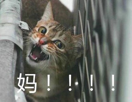 妈妈微信经常不回你？试试这套表情包救场！