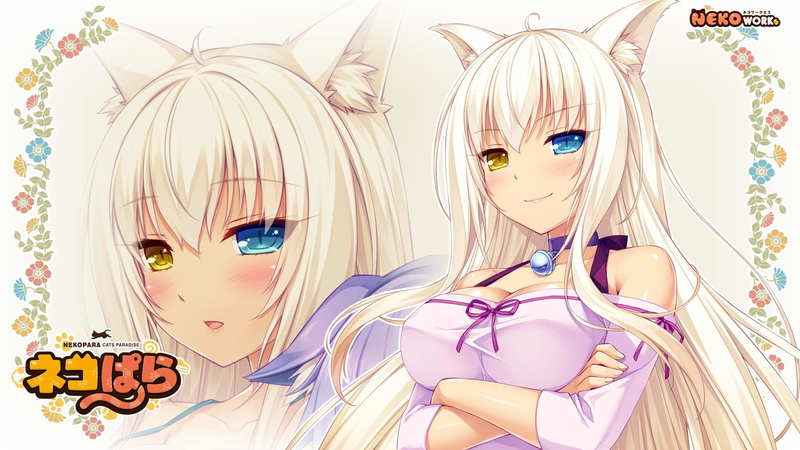 《猫娘乐园异瞳金发少女静物写真壁纸合集》