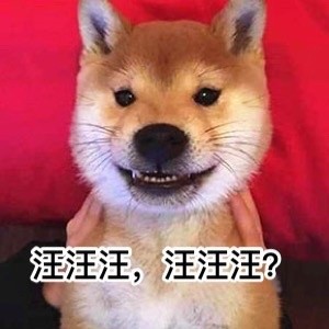 要说汪星人里最讨喜的，还得是doge