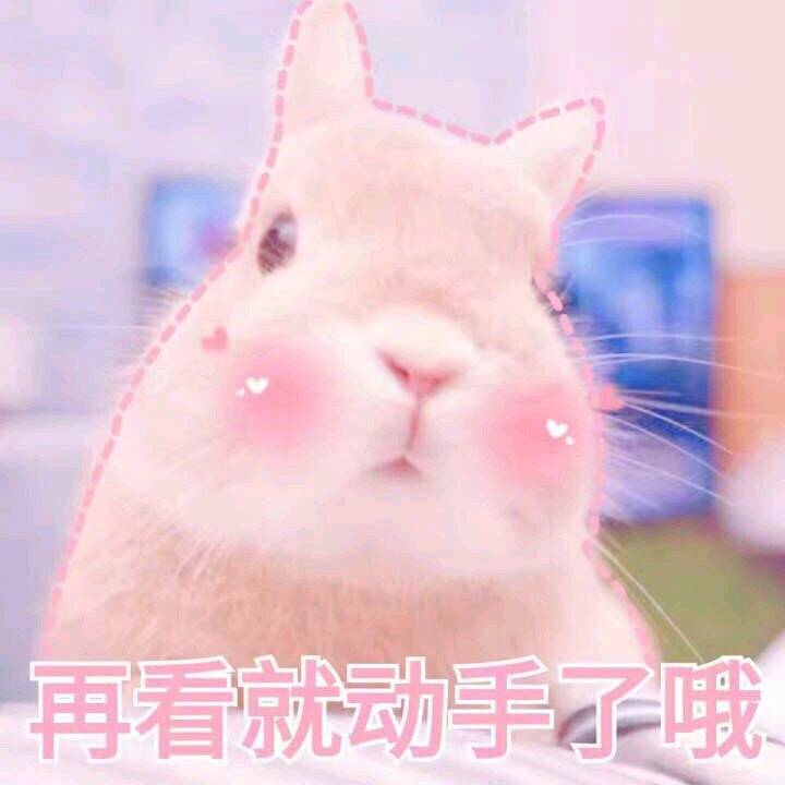 粉嘟嘟少女心猫咪表情包来啦
